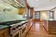 209 E Lake Shore Unit 15W, Chicago, IL 60611