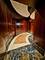 57 E Delaware Unit 3204, Chicago, IL 60611