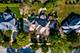1208 Hamilton, Naperville, IL 60540