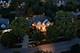 1208 Hamilton, Naperville, IL 60540