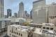 535 N Michigan Unit 1011, Chicago, IL 60611
