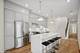 3615 N Wilton, Chicago, IL 60613