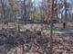 2096 Wolpers, Crete, IL 60417