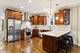 2907 N Damen Unit 1, Chicago, IL 60618
