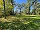 13745 S King, Homer Glen, IL 60491