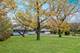 12S240 Lemont, Lemont, IL 60439
