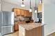 545 N Dearborn Unit 3305, Chicago, IL 60654