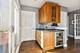 1224 W Bryn Mawr, Chicago, IL 60660