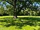 2033 Winnetka, Northfield, IL 60093