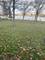 22740 W Loon Lake, Antioch, IL 60002