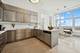 132 E Delaware Unit 6201, Chicago, IL 60611