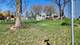 Lot 11 Beach, Wonder Lake, IL 60097