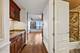 180 E Pearson Unit 4901, Chicago, IL 60611