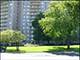 7061 N Kedzie Unit 313, Chicago, IL 60645