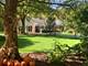 1323 Turvey, Downers Grove, IL 60515