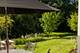 1323 Turvey, Downers Grove, IL 60515