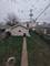 5129 W 23rd Unit 1, Cicero, IL 60804