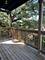 5704 S Kenwood Unit 3A, Chicago, IL 60637