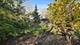 4801 White Oak, Rockford, IL 61114