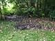 702 Burris, Lake Bluff, IL 60044
