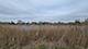 13255 W Laraway, New Lenox, IL 60451