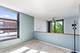 3041 S Michigan Unit 504, Chicago, IL 60616