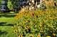 807 Davis Unit 1510, Evanston, IL 60201