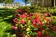 807 Davis Unit 1510, Evanston, IL 60201