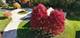3016 Raccoon Cove, Island Lake, IL 60042