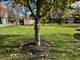 945 Pine Tree, Winnetka, IL 60093