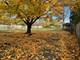 945 Pine Tree, Winnetka, IL 60093