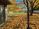 945 Pine Tree, Winnetka, IL 60093