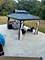 14640 Ingleside, Dolton, IL 60419