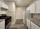 404 S Maple Unit 1N, Oak Park, IL 60302