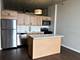 1720 S Michigan Unit 1712, Chicago, IL 60616