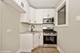 423 Wisconsin Unit 1E, Oak Park, IL 60302