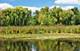 526 Red Oak Unit 2305, Volo, IL 60020