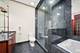 63 W Schiller, Chicago, IL 60610