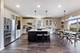 13710 Buchanan, Lemont, IL 60439