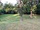 7 Yorkshire Woods (Lot 8), Oak Brook, IL 60523
