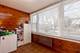 8914 La Crosse Unit 2S, Skokie, IL 60077