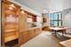 1040 N Lake Shore Unit 28A, Chicago, IL 60611