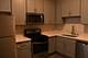 6522 S Ellis Unit 2, Chicago, IL 60637