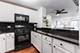3900 N Pine Grove Unit 609, Chicago, IL 60613