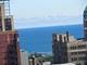 600 S Dearborn Unit 2004, Chicago, IL 60605