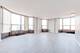901 S Plymouth Unit 1205, Chicago, IL 60605