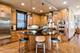 1117 W Wellington, Chicago, IL 60657