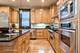 1117 W Wellington, Chicago, IL 60657