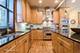 1117 W Wellington, Chicago, IL 60657