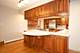336 S Harvey, Oak Park, IL 60302